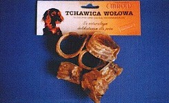 Tchawica