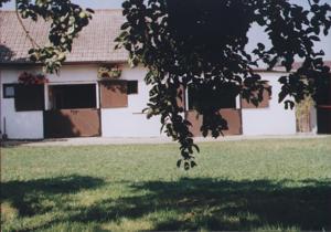 Stajnie